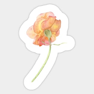 Orange Rose Sticker